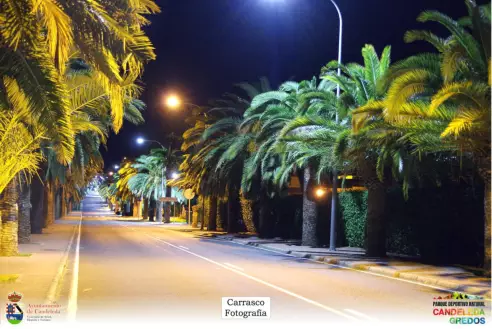 Avenida de las Palmeras Candeleda