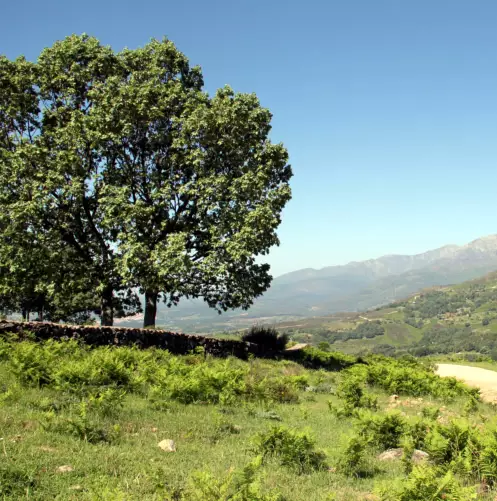 Candeleda, naturaleza