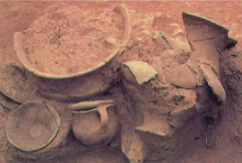 Castro Celta de El Raso