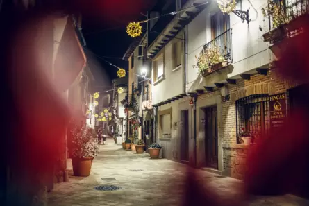 Fiestas de Candeleda y El Raso