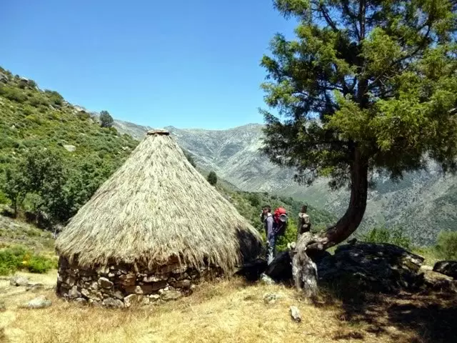 Los chozos Construidos para lograr un mejor aprovechamiento de los pastos y de los recursos disponibles