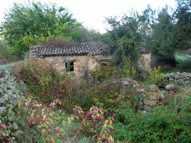 Molinos de Pimentón y los Molinos Harineros
